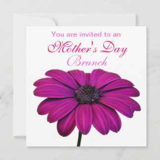 Pink Margerite invitation