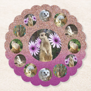 Pink Meerkat Surprise, Paper Party Coasters