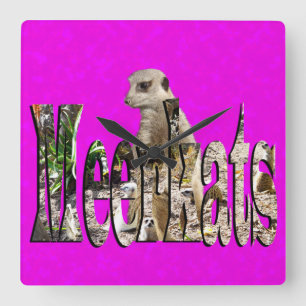 Pink Meerkat With Meerkats Logo Design, Square Wall Clock