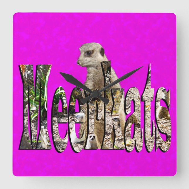 Pink Meerkat With Meerkats Logo Design, Square Wall Clock (Front)