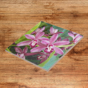 Pink Mini Cymbidium Orchids Floral Tile
