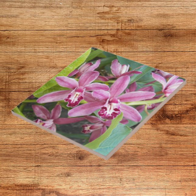 Pink Mini Cymbidium Orchids Floral Tile (In Situ)