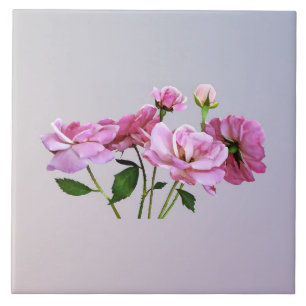 Pink Miniature Roses Tile