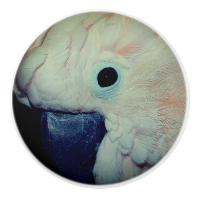 Pink Moluccan Cockatoo Parrot Close Up  Ceramic Knob (Front)