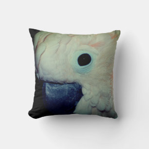 Pink Moluccan Cockatoo Parrot Close Up  Cushion