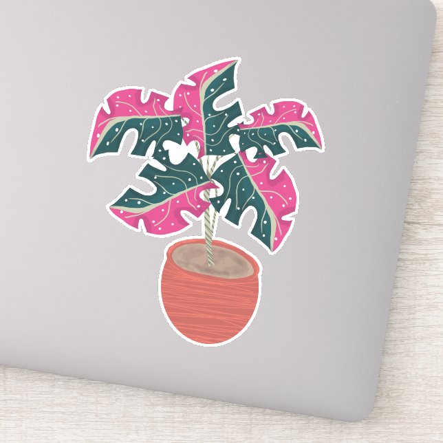 Pink Monstera Plant Hand Drawn (Detail)