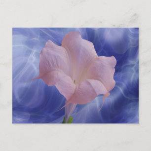 Pink Moon Flower Postcard