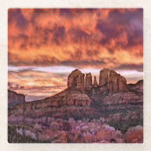 Pink Morning Glory Glass Coaster