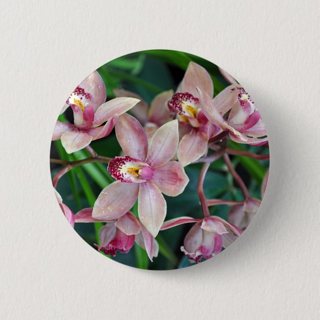 Pink moth orchids 6 cm round badge (Front)