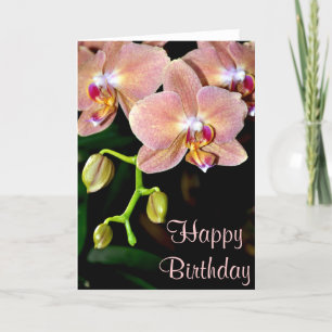 Pink moth orchids birthday greeting card