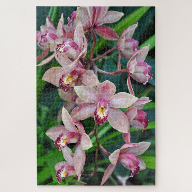 Pink moth orchids jigsaw puzzle (Vertical)
