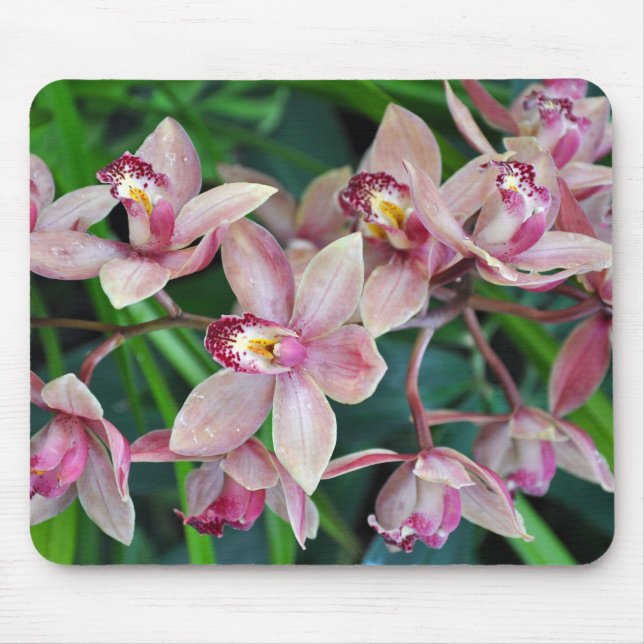 Pink moth orchids mouse mat (Front)