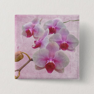 Pink Moth Orchids - Phalaenopsis 15 Cm Square Badge