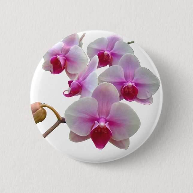 Pink Moth Orchids - Phalaenopsis 6 Cm Round Badge (Front)
