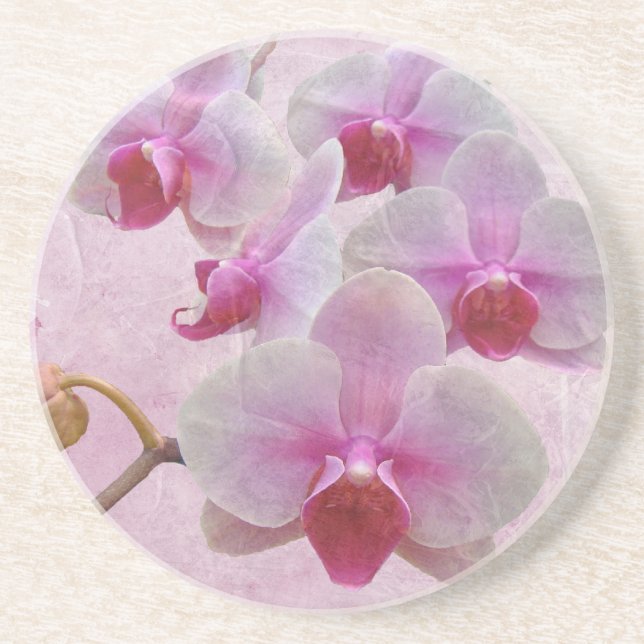 Pink Moth Orchids - Phalaenopsis Coaster (Front)