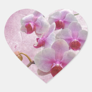 Pink Moth Orchids - Phalaenopsis Heart Sticker