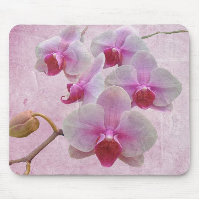 Pink Moth Orchids - Phalaenopsis Mouse Mat (Front)