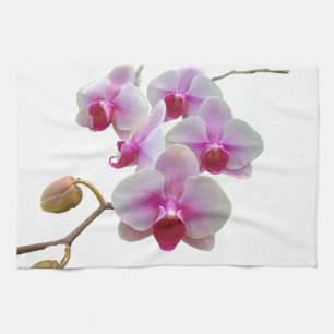 Pink Moth Orchids - Phalaenopsis Tea Towel