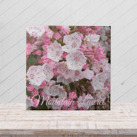 Pink Mountain Laurel Floral Ceramic Tile