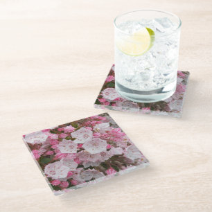 Pink Mountain Laurel Floral Glass Coaster