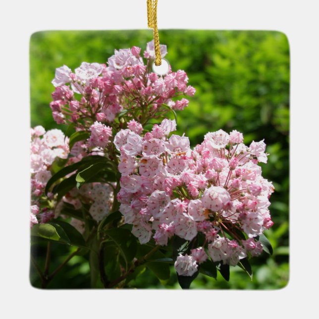 Pink Mountain Laurel Flowers Ceramic Tree Decoration (Front)