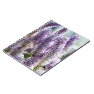 Pink Mulla Mulla Notebook