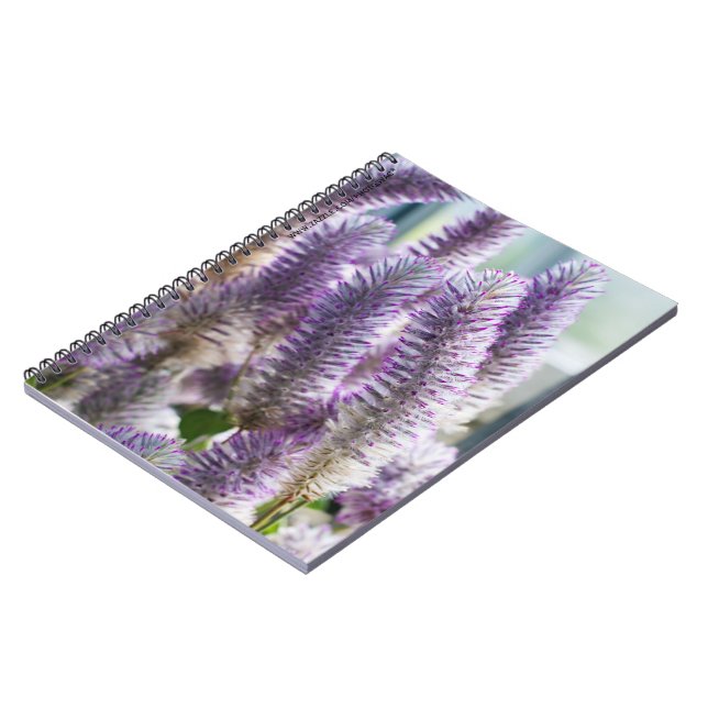 Pink Mulla Mulla Notebook (Left Side)