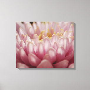Pink Mum Flower Canvas Art Print