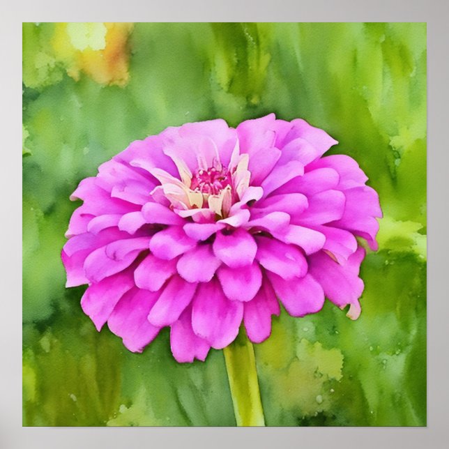 Pink Mum Flower Watercolor Style Art Squared Poster (Front)