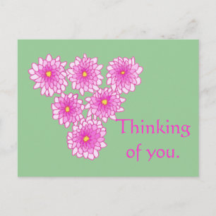 Pink Mums Flowers Thinking of you Postcards