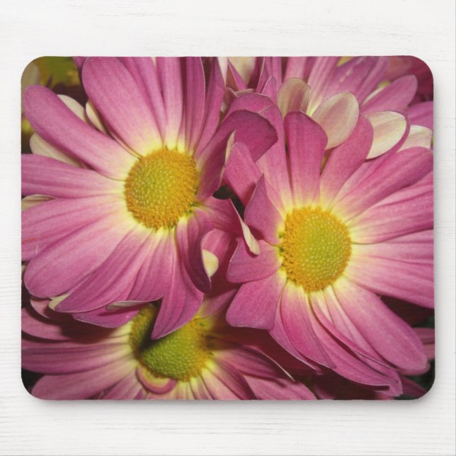 Pink Mums Mousepad (Front)