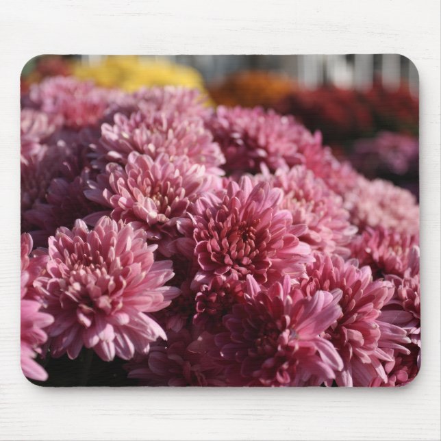 Pink Mums Photograph Beautiful Mouse Mat (Front)