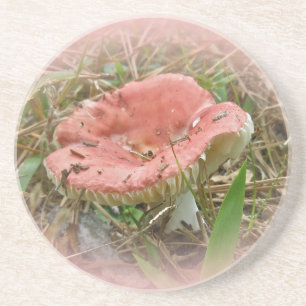 Pink Mushroom Coaster