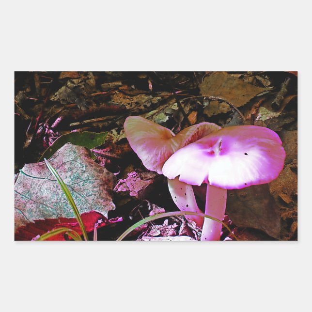 Pink Mushroom  Rectangular Sticker (Front)