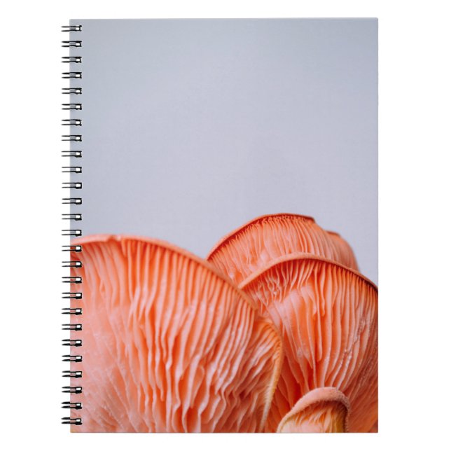 PINK MUSHROOMS NOTEBOOK (Front)