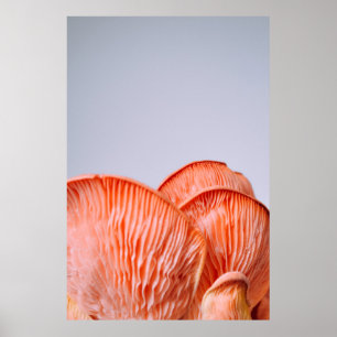 PINK MUSHROOMS POSTER
