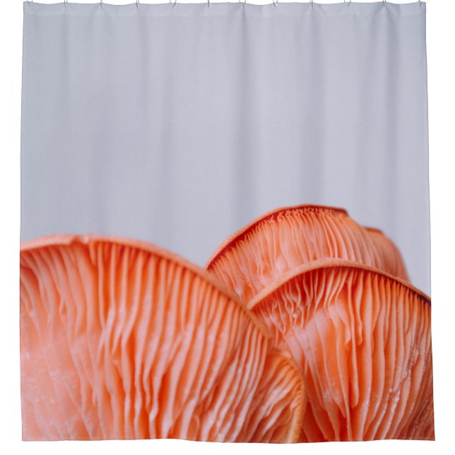 PINK MUSHROOMS SHOWER CURTAIN (Front)