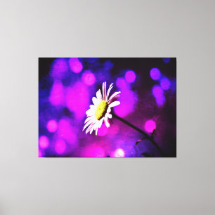 Pink N Amethyst Daisy Wrapped Canvas