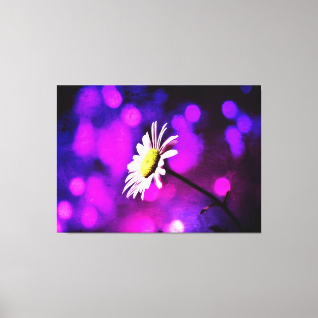 Pink N Amethyst Daisy Wrapped Canvas (Front)