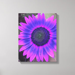 Pink N Purple Sunflower Wrapped Canvas