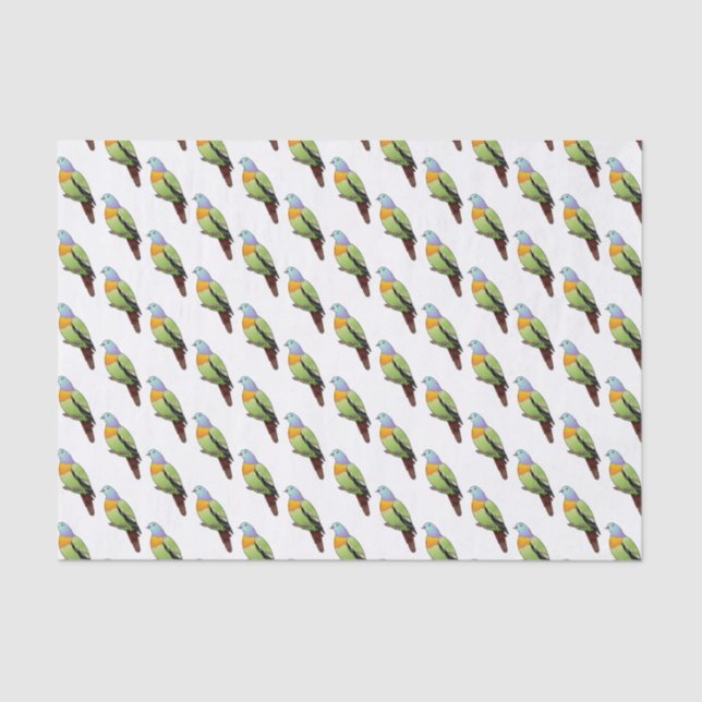 Pink-necked green pigeon bird cartoon illustration tissue paper (Front)