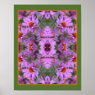 Pink New England Aster Flowers Abstract Poster
