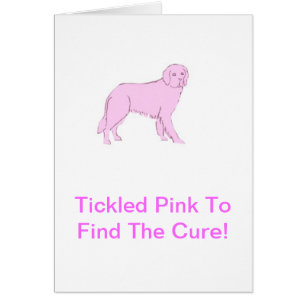 Pink Newfoundland