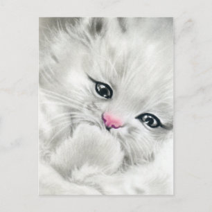 pink nose white fluffy kitty postcard