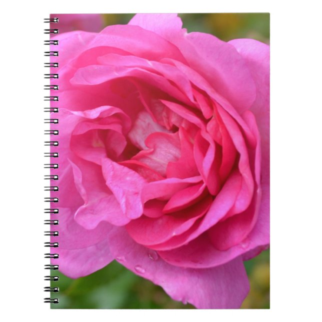Pink November Rose Notebook (Front)
