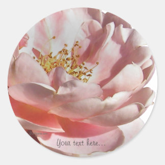 Pink Old Fashioned English Rose Wedding Seals