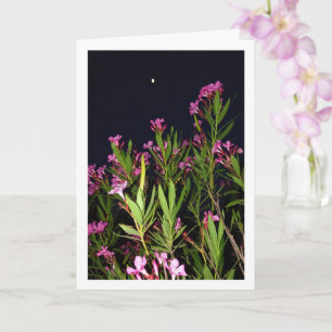 Pink Oleander at Night Card