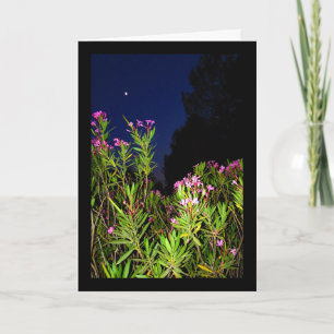 Pink Oleander at Night Card
