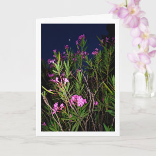 Pink Oleander at Night Card