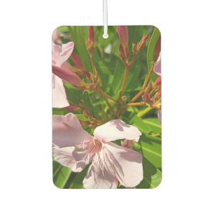 Pink Oleander Floral Car Air Freshener Botanical G
